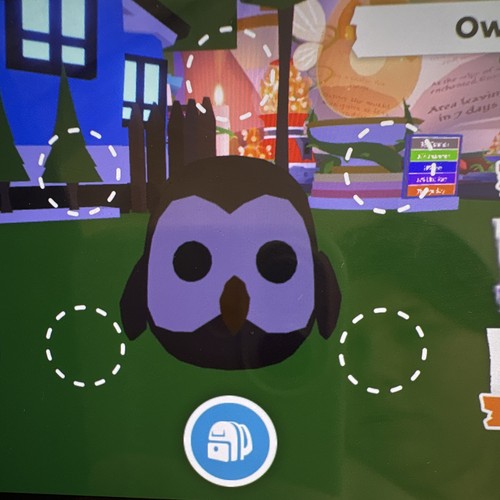 Fly ride owl cheapest - fly,