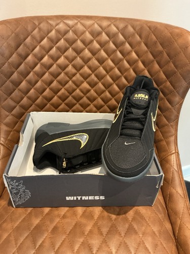 Brand new nike lebron witness - brand,