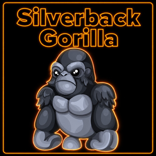 Silverback gorilla - gorilla,